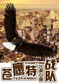 铁血战鹰队8免费阅读