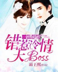 一醉成婚伊又夏