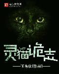 播放灵猫记介绍