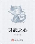 灵武是哪