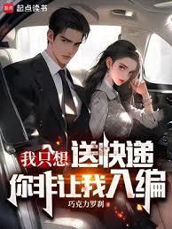 我只是送快递的