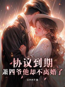 萧四爷却不离婚了全本