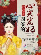 四爷的心尖宠妃又叫什么