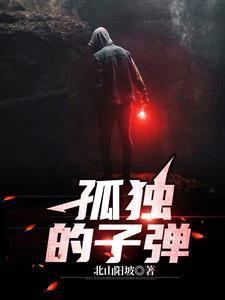 孤单的子弹是什么意思