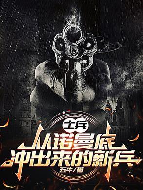 诺曼底双方兵力