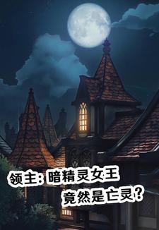 暗黑领主攻略