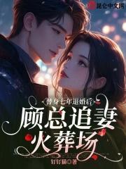 顾少的替身前妻