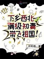 知青下乡片