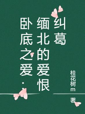 电视剧卧底版