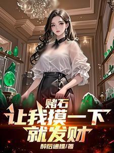 赌石 文