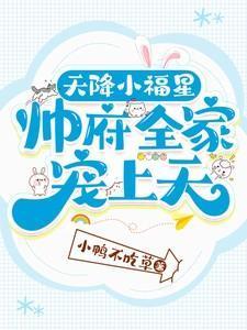 天降小福星免费阅读