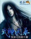 武神风暴完整版
