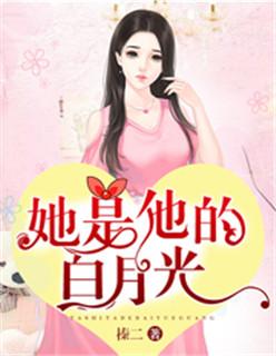 她是他的白月光青耳全文免费阅读