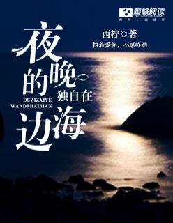 独自在夜晚的海边柏林