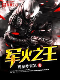 抗战之军火之王