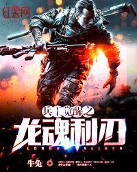 龙魂兵王2