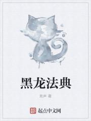 黑龙法典地图
