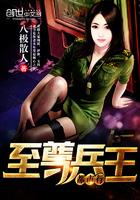 至尊兵王都市游