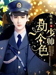 少帅是什么意思