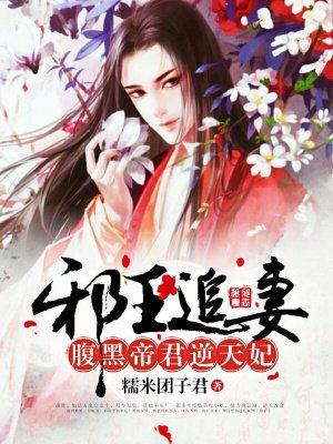 腹黑帝君逆天妃之邪王追妻