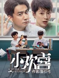 小欢喜电视剧免费观看完整版
