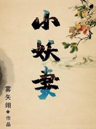 夫君是未来大魔王怎么办笔趣阁