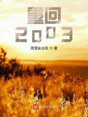 重回2003年全文阅读