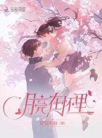 月亮在天上什么歌曲