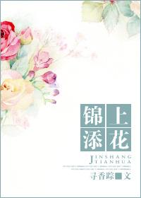锦上添花三一来是什么生肖