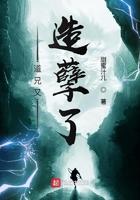 道兄又造孽了全本TXT