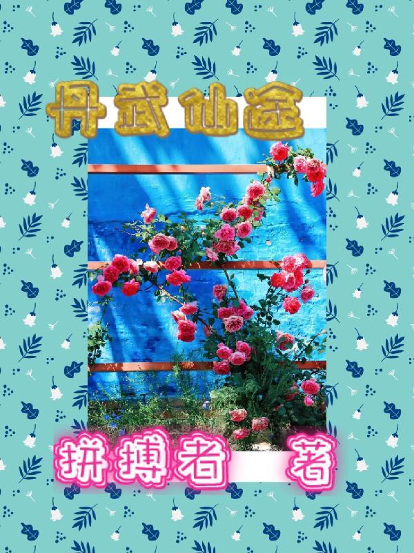 丹武仙帝免费全部