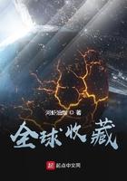 全球收藏全文免费阅读