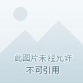 逆天龙尊后续剧情