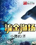 流金数码光电科技有限公司