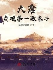 穿越大唐贞观第一败家子