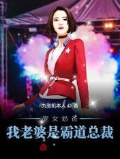 宠妻奶爸我的老婆巨有钱完本