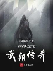 神探狄仁杰之武朝传奇百度