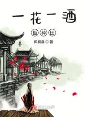 一花一剑一壶酒
