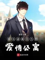 爱情公寓之诸葛大力的同居男友