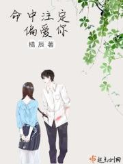 命中注定我爱你意思
