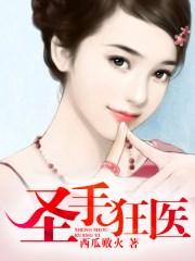 圣手狂医1-100集免费