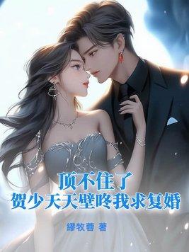 贺少的闪婚宠妻 免费阅读