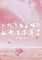 失踪之后by