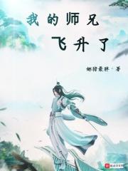 我师兄实在太稳健了飞升是什么等级