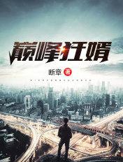 巅峰狂婿 断章