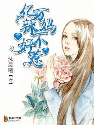 亿万辣妈不好惹百度