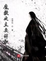 魔教教主之后是什么