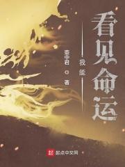 我能看见寿命值txt