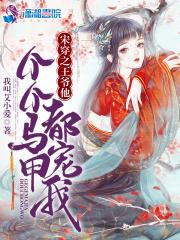 东坡先生的简介